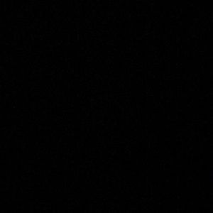 Meet your Posher, Cheyenne